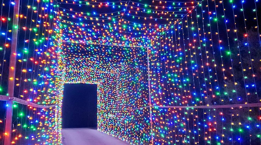 Large Texas estate with comprehensive Christmas lighting in McKinney